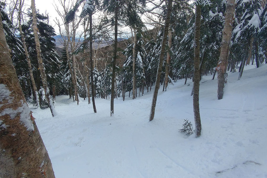 Glades at Cannon Mountain